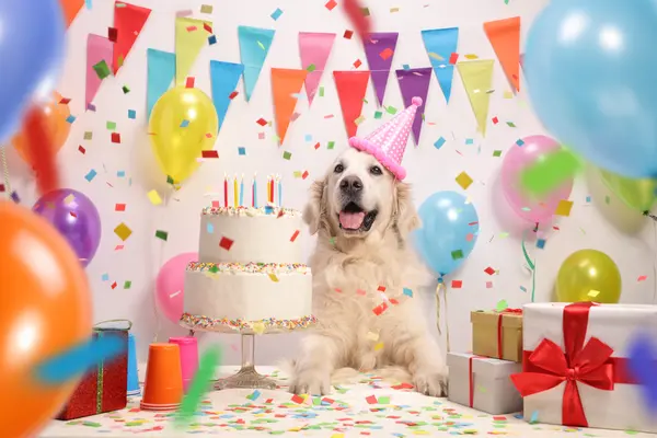 What did the dog say after his birthday party?