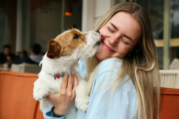 Which dogs are the best at getting girls?