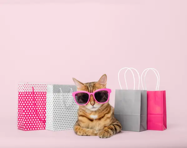What money do cats use to go shopping?