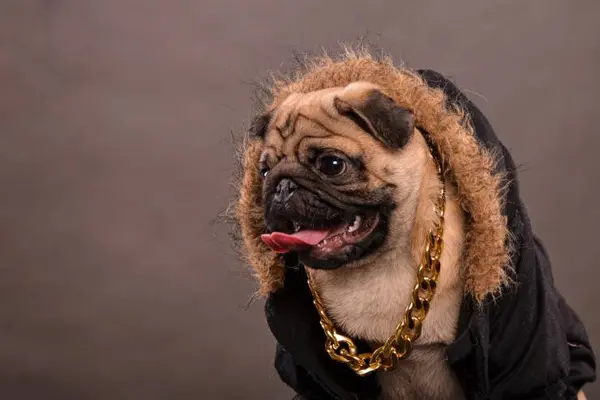 Why does Snoop Dogg always have an umbrella with him?