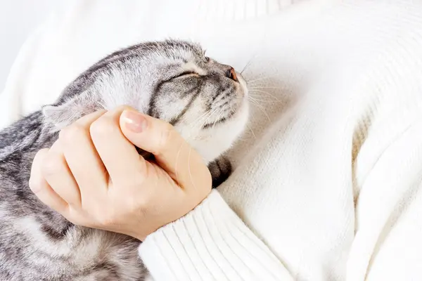 Which cats love to be petted?