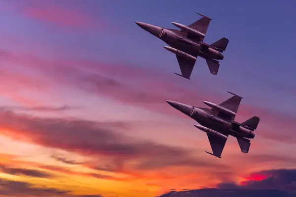 Why did the twins join the Air Force?