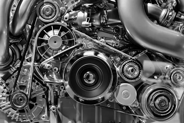 What kind of motor vehicle is in the Bible?