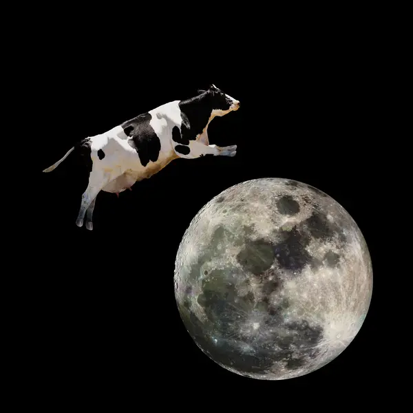 Why did the cow go to outer space?