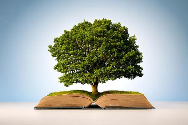 What kind of story do trees love to tell?