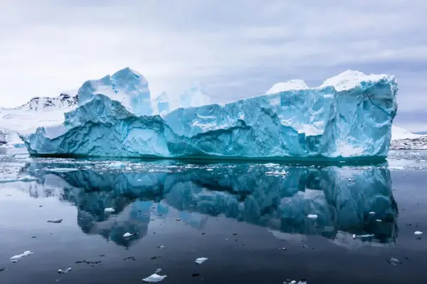 What outfit is appropriate for a dinner in the Arctic?
