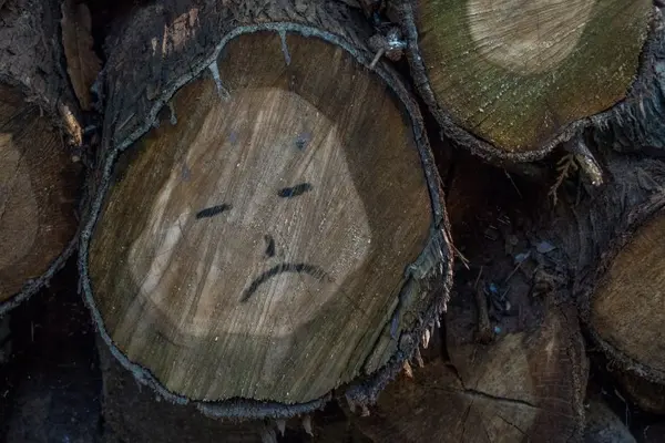 Which tree can't stop crying?