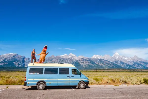 What do you get when dinosaurs crash their cars?