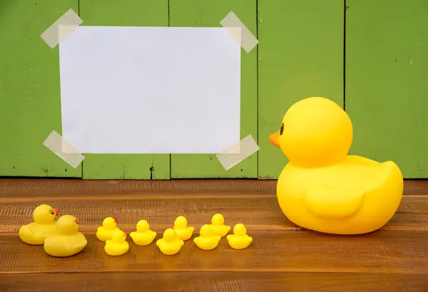 Why did the mother duck make such a great schoolteacher?