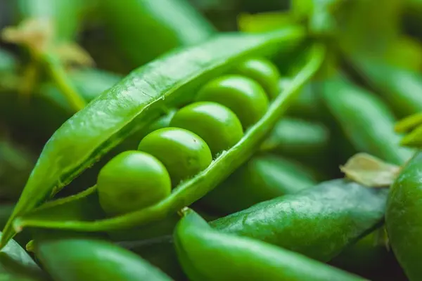 Who do green peas see when they aren't feeling well?