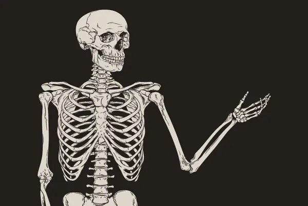 Why did the skeleton buy the base model car?