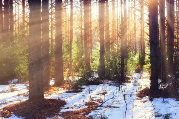 Did you see that all the ice and snow is melting?