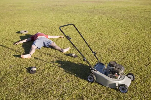 Why did the lawn mower get kicked off the team?