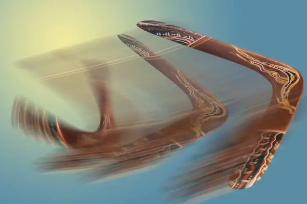 What do you call a boomerang that doesn't come back?