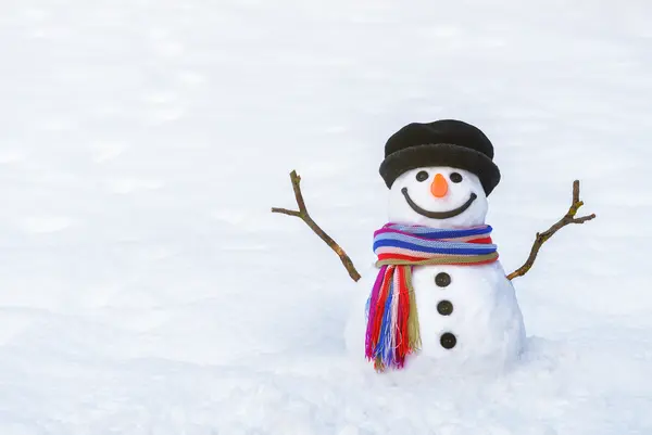 What do snowmen always order from Wendy's®?