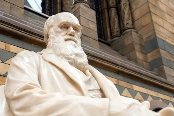 What did Charles Darwin's daughter say to her sibling?